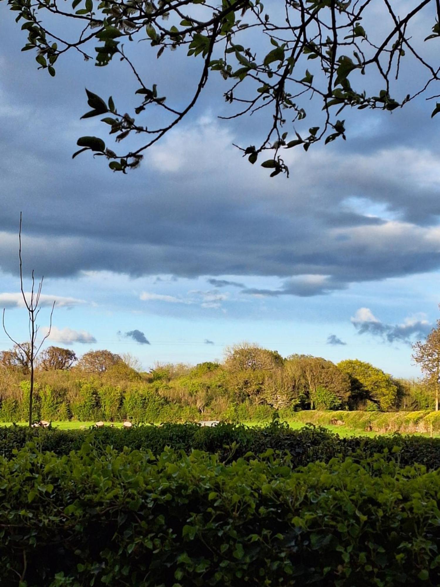 Ard Aoibhinn Roscommon Lecarrow 外观 照片