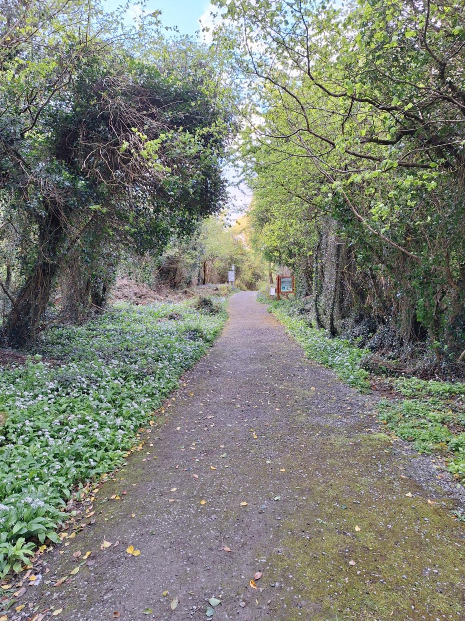 Ard Aoibhinn Roscommon Lecarrow 外观 照片