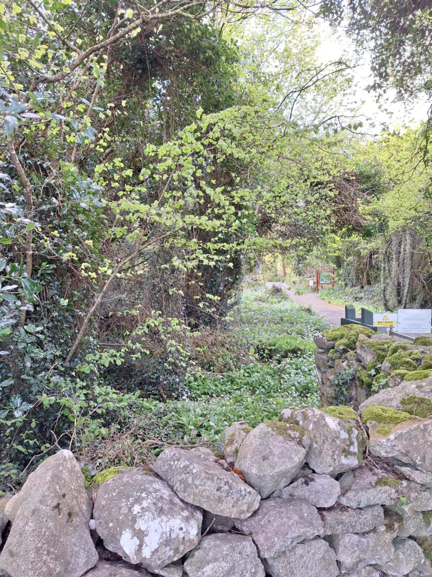 Ard Aoibhinn Roscommon Lecarrow 外观 照片